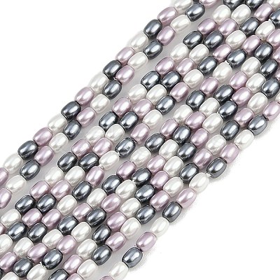 Electroplated Shell Pearl Beads Strands BSHE-H113-06A-04-1