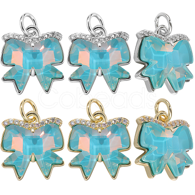 6Pcs 2 Colors Brass Micro Pave Cubic Zirconia Charms KK-BBC0019-25-1