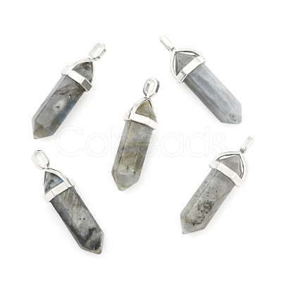 Natural Labradorite Double Terminated Pointed Pendants G-F295-05N-1