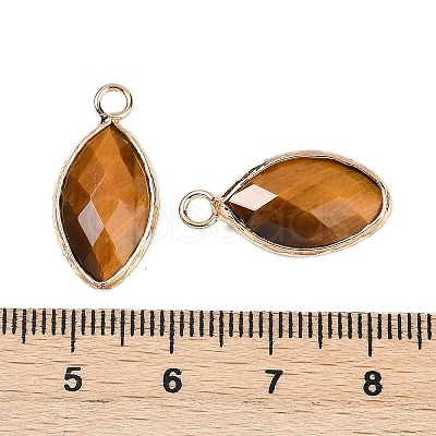 Natural Tiger Eye Faceted Pendants G-G193-01G-03-1