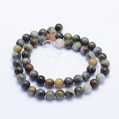 Natura Hawk's Eye Beads Strands G-D0001-22C-6mm-1