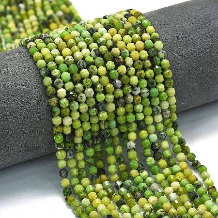 Natural Serpentine Beads Strands G-A260-A15-01-1