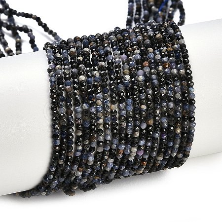 Natural Sapphire Beads Strands X-G-P553-G07-01-1
