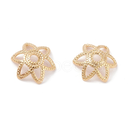 Brass 6-Petal Bead Caps KK-K253-20G-1