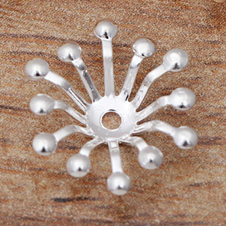 Brass Bead Caps OHAR-PW0003-121F-1
