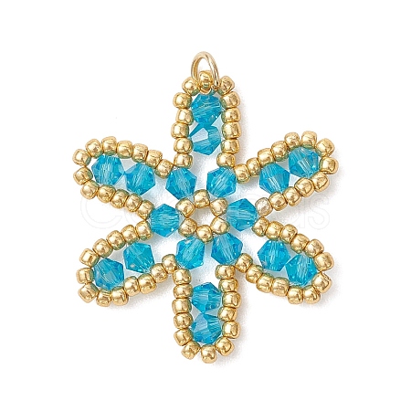 Glass Seed Beaded Pendants PALLOY-MZ01270-01-1