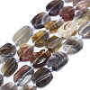 Natural Botswana Agate Beads Strands G-K245-J10-C01-1