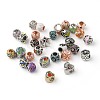 Alloy European Beads MPDL-S066-045-1