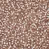 TOHO Round Seed Beads X-SEED-TR11-0031F-2