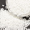 12/0 Glass Seed Beads SEED-J014-F12-41-1