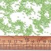 MGB Matsuno Glass Beads SEED-Q023-745-3