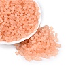 FGB Frosted Transparent Glass Seed Beads SEED-N013-05A-04-1