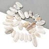 Natural Moonstone Beads Strands G-M408-D03-2