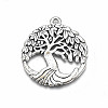 Tibetan Style Alloy Pendants X-TIBE-S323-020AS-RS-1