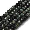 Natural Kambaba Jasper Beads Strands G-A280-A28-01-2