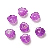 Transparent Glass Beads GLAA-D304-02G-1