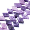 Natural Lepidolite Beads Strands G-K245-E02-01-1