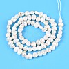 Natural Cultured Freshwater Pearl Beads Strands PEAR-T006-18A-3