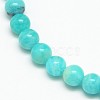 Natural Gemstone Amazonite Round Beads Strands G-O017-8mm-08C-4