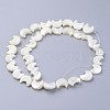 Natural White Shell Beads Strands SSHEL-12X11-2