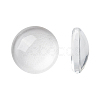 Transparent Glass Cabochons X-GGLA-R026-10mm-1