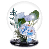 Round Glass Dome Cover GLAA-WH0049-013C-1