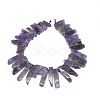 Natural Amethyst Beads Strands G-S318-03-2
