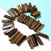 Natural Tiger Eye Beads Strands G-L551B-07-2