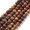 Natural Leopard Skin Jasper Round Beads Strands G-S182-8mm-2