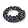 Natural Larvikite Beads Strands G-S259-06-12mm-2