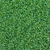 MIYUKI Round Rocailles Beads X-SEED-G007-RR0259-3