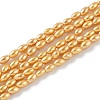 Electroplated Shell Pearl Beads Strands BSHE-Z009-10B-01-2