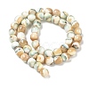 Natural Seashell Shell Beads Strands SH-CBAFEDD-01A-4