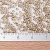 MIYUKI Delica Beads SEED-J020-DB0907-4