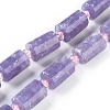 Natural Lepidolite/Purple Mica Stone Beads Strands G-F653-21-1