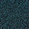 MIYUKI Round Rocailles Beads SEED-X0054-RR2406-3