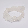 Raw Rough Natural Quartz Crystal Beads Strands G-F403-11-2