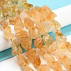 Rough Raw Natural Citrine Beads Strands G-K202-17B-7