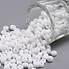 6/0 Glass Seed Beads X2-SEED-A010-4mm-41-1