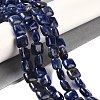 Natural Sodalite Beads Strands G-M435-A07-01-2