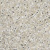 8/0 Glass Seed Beads SEED-A005-3mm-21-2