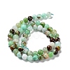 Natural Chrysoprase Beads Strands G-G057-A01-02-3