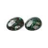Natural Malachite Cabochons G-E464-42U-3