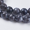 Natural Larvikite Beads Strands G-G542-8mm-27-3