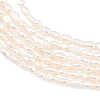 Natural Cultured Freshwater Pearl Beads Strands PEAR-D003-01D-03-4