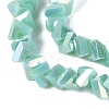 Electroplate Opaque Glass Beads Strands EGLA-Q139-01A-C14-3