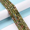 Natural Unakite Beads Strands G-G990-C11-2