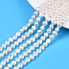 Natural Cultured Freshwater Pearl Beads Strands PEAR-N014-07C-1