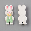 Opaque Resin Cabochons CRES-N024-32-2