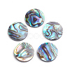 Natural Abalone Shell/Paua Shell Cabochons SSHEL-L017-001-1